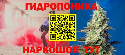 стафф Гусиноозёрск