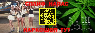 дмт Гусев