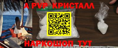 дмт Гусев