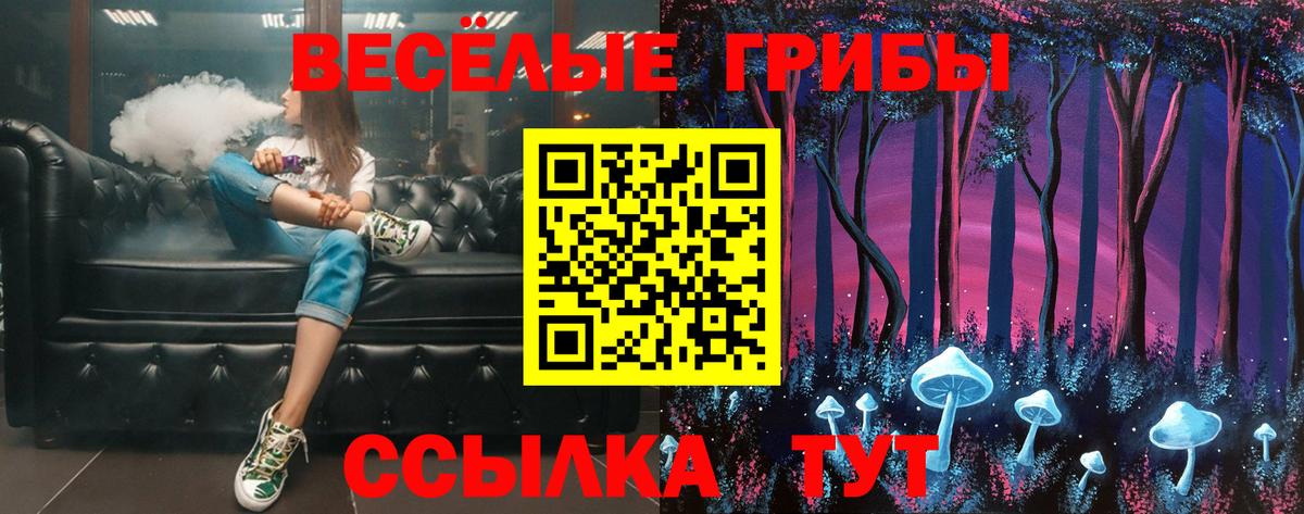 Галлюциногенные грибы прущие грибы  Вход с VPN  Мурино  где найти   Галлюциногенные грибы Psilocybe 