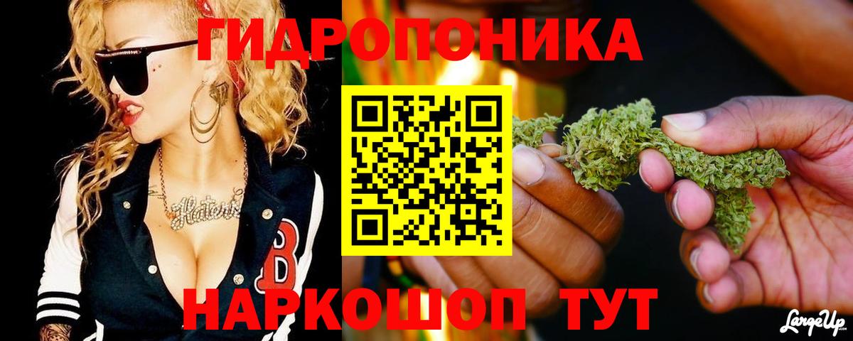 Бошки Шишки VHQ Мурино